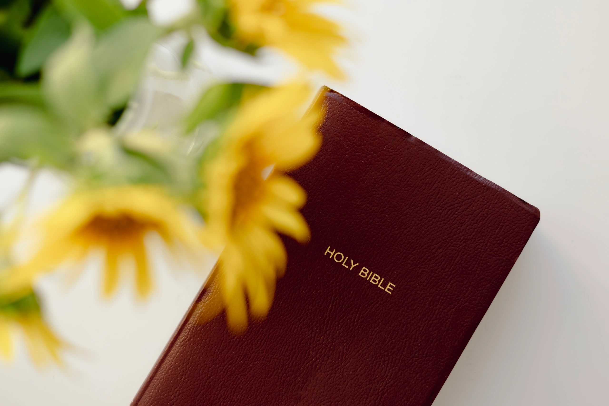Open Bible in warm natural light for The Ten Commandments teaching series