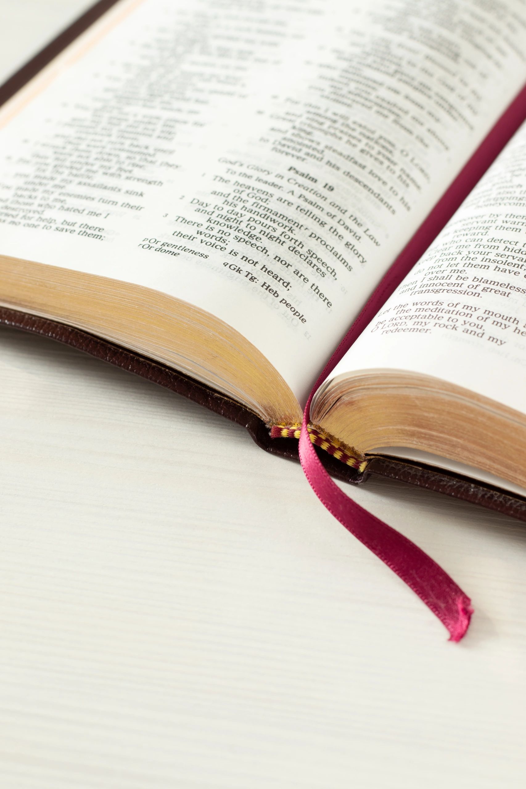 Open Bible representing prayer, scripture, and faithful legacy